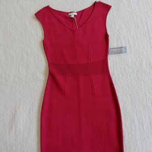 Eva Mendes Body Con Red Dress
